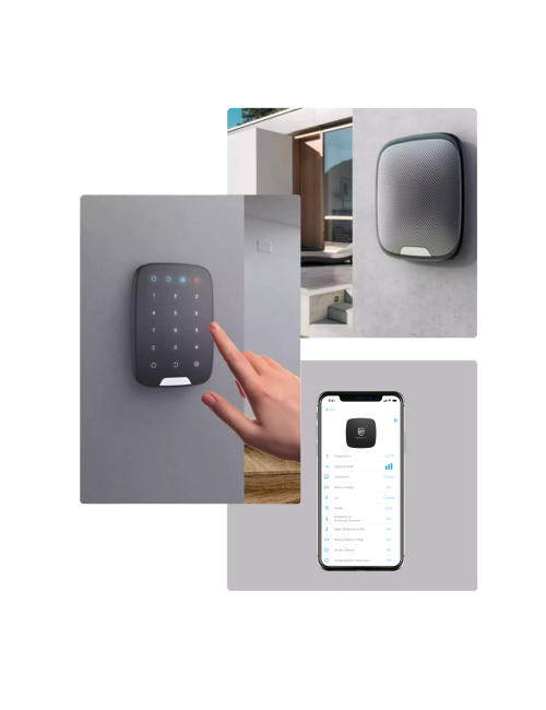 Forfait Télésurveillance