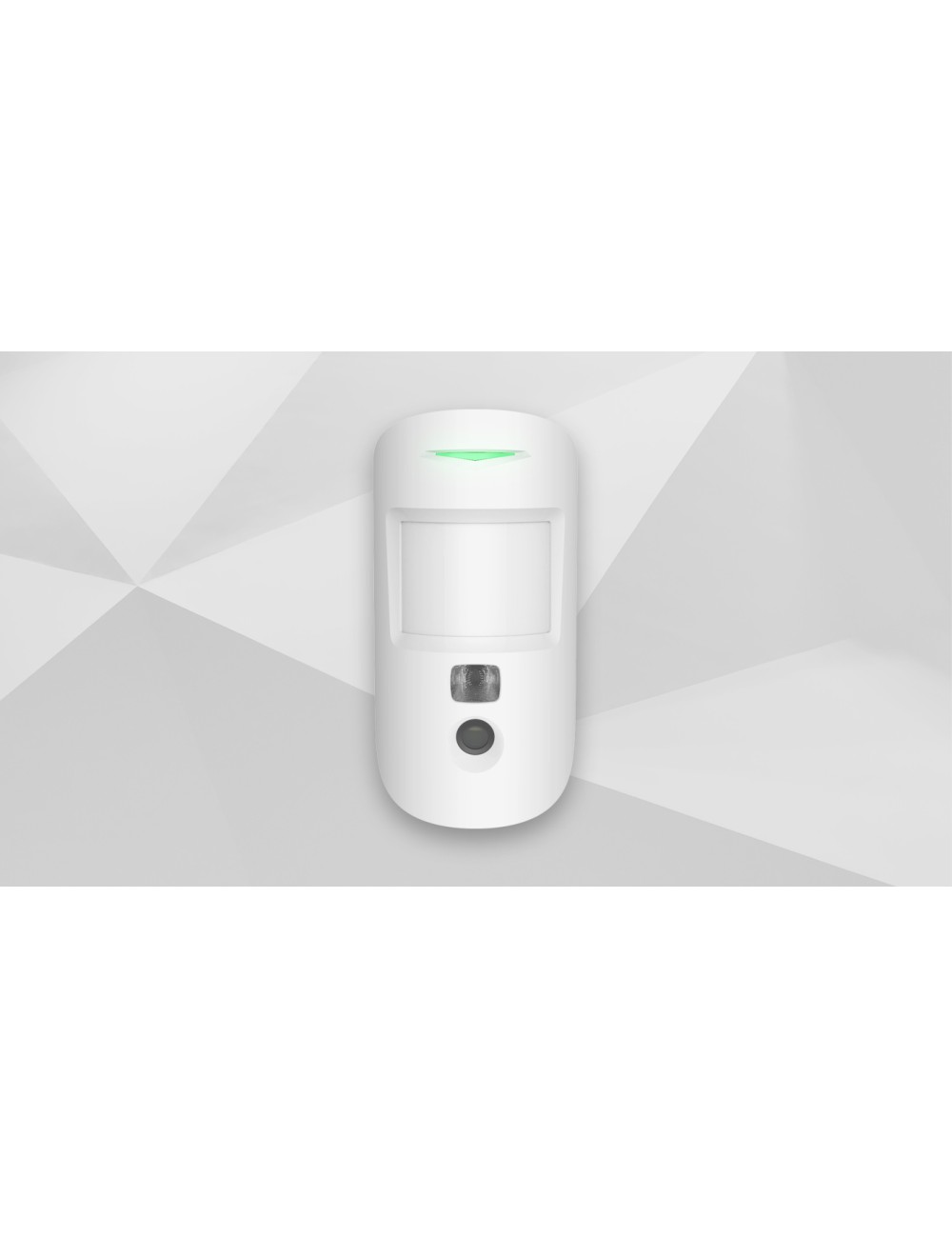 Détecteur de mouvement radio Anti Animaux avec levée de doute vidéo