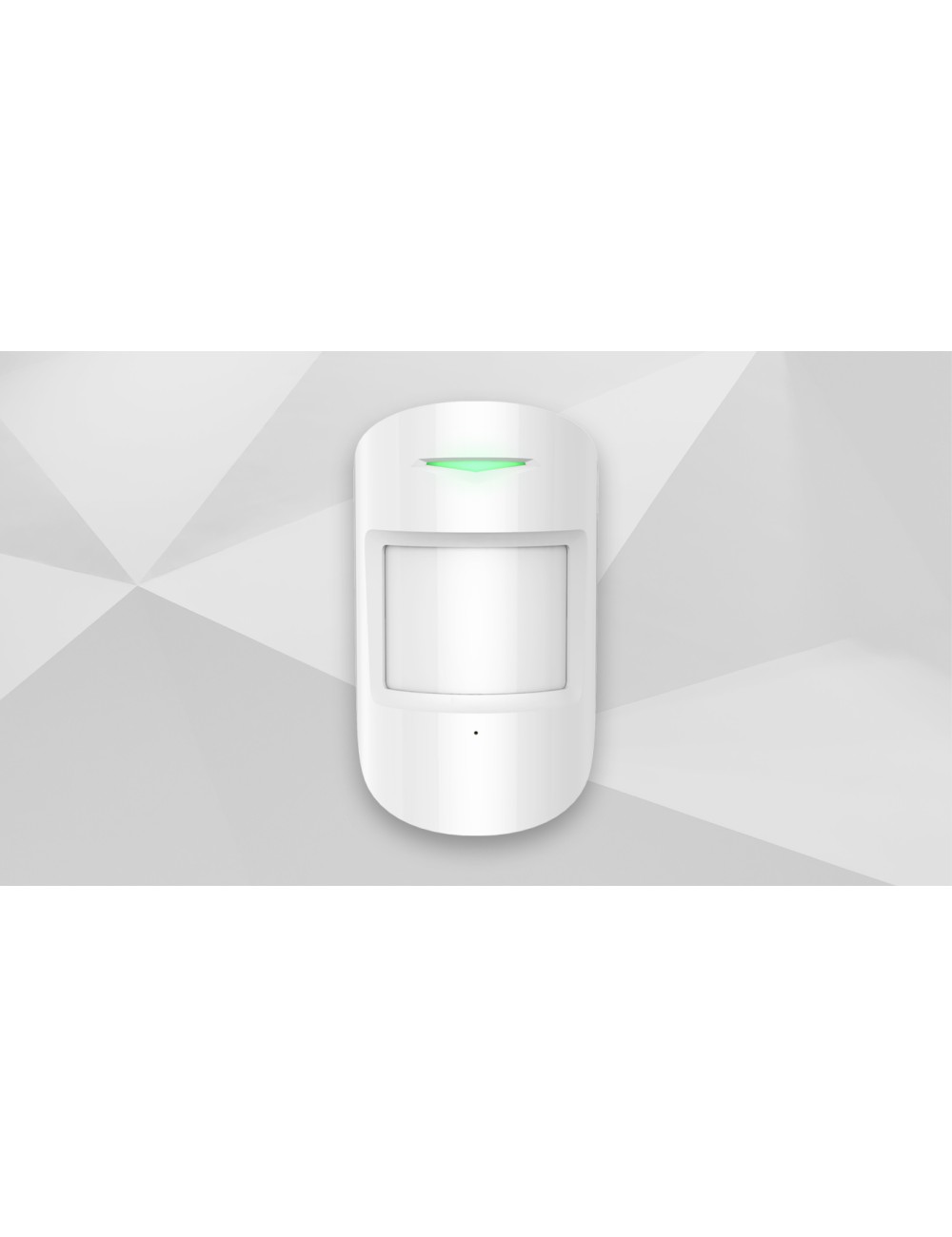 Détecteur de mouvement double technologie radio AA